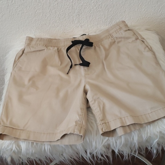 pacsun volley shorts